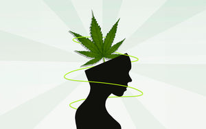 A cannabis leaf on top of a human head showing how terpenes help relieve anxiety.