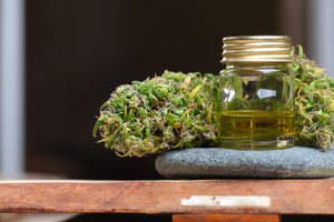 A cannabis flower next to a jar with oil by Bucannalabs. The best cannabis terpenes help with anxiety, stress and increase focus.