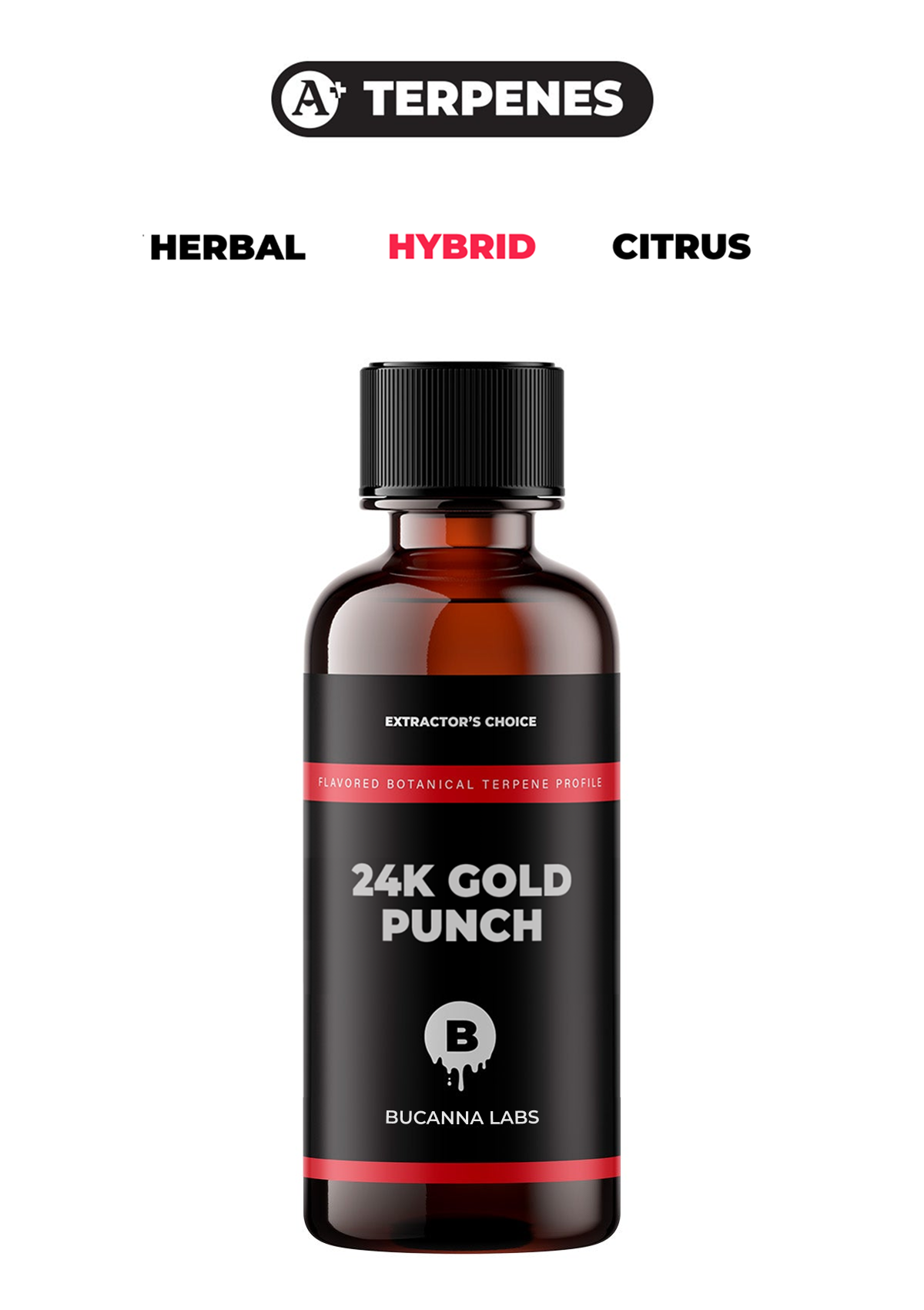 24K Gol Punch - Flavored Botanical Terpene Profile from Bucanna Labs
