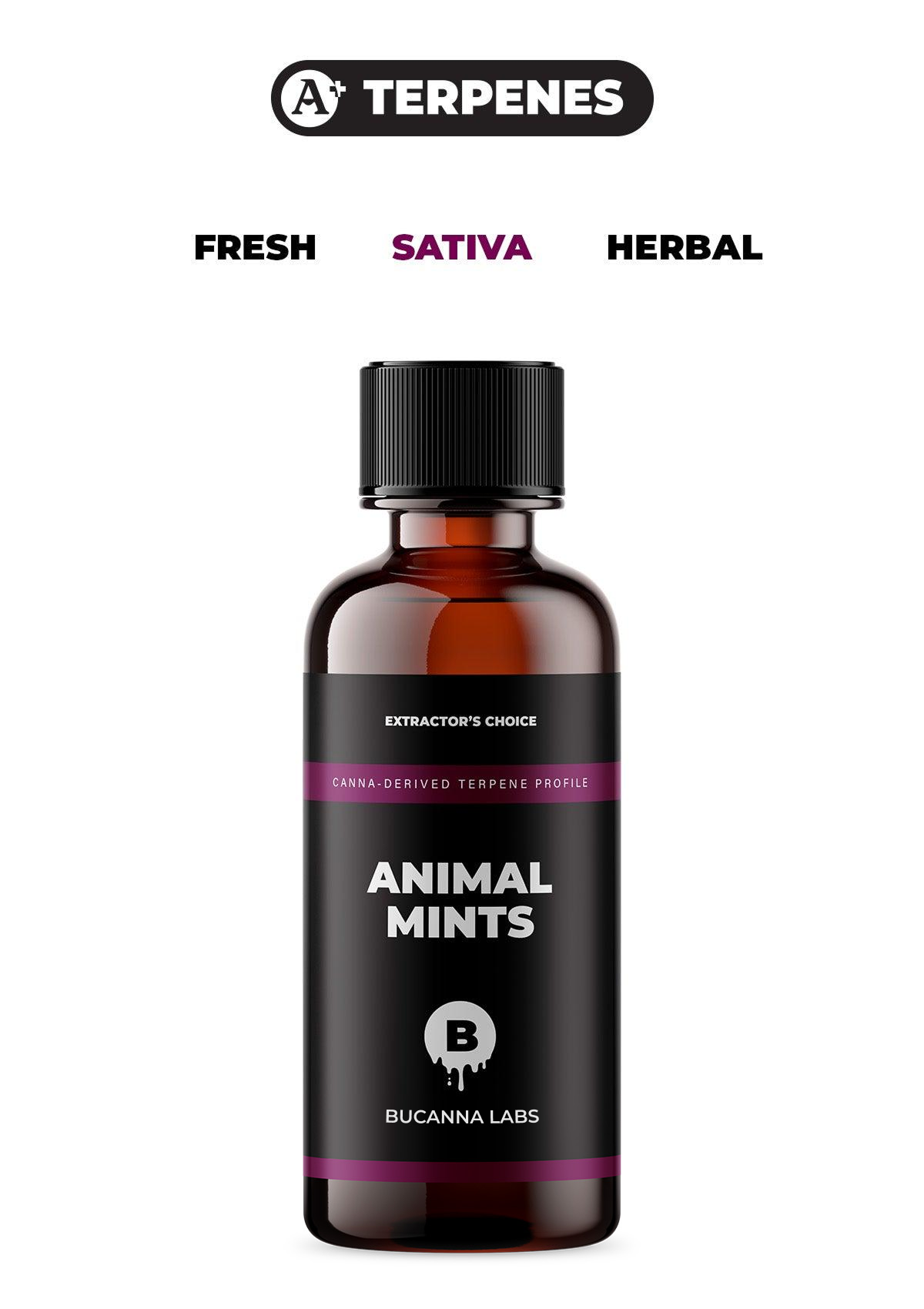 Aminal Mints - Canna Derived Terpene Profile from Bucanna Labs