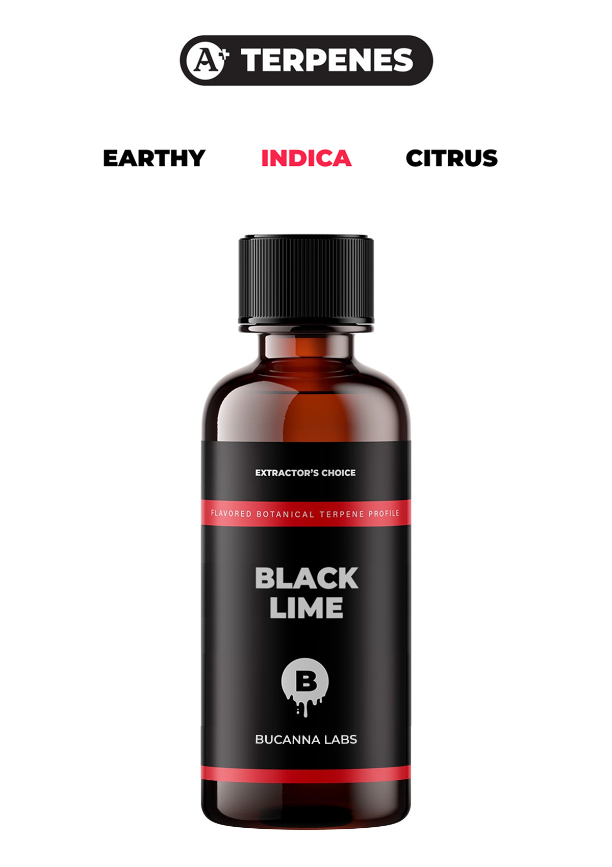 Black Lime - Flavored Botanical Terpene Profile from Bucanna Labs