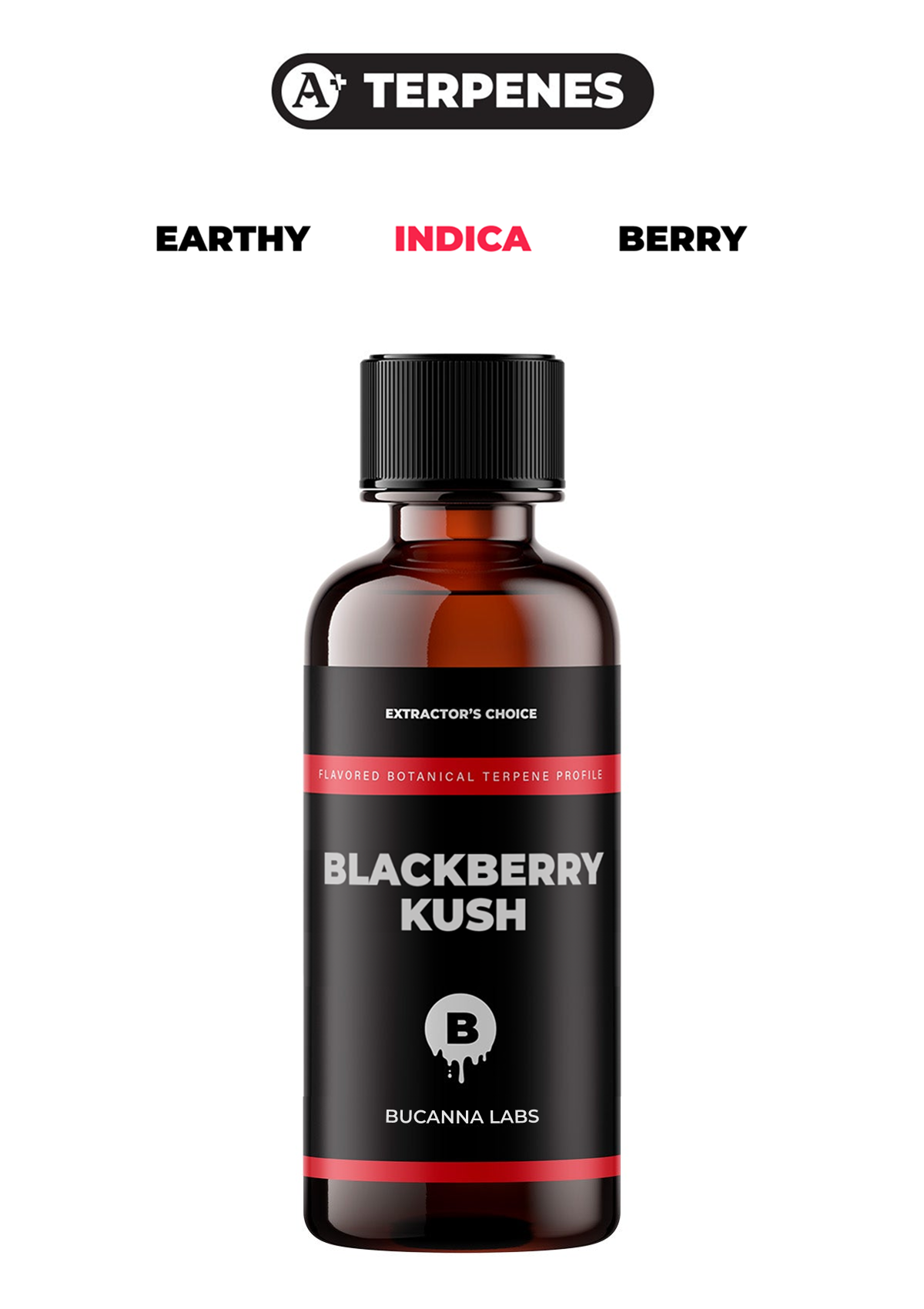 Blackberry Kush - Flavored Botanical Terpene Profile from Bucanna Labs