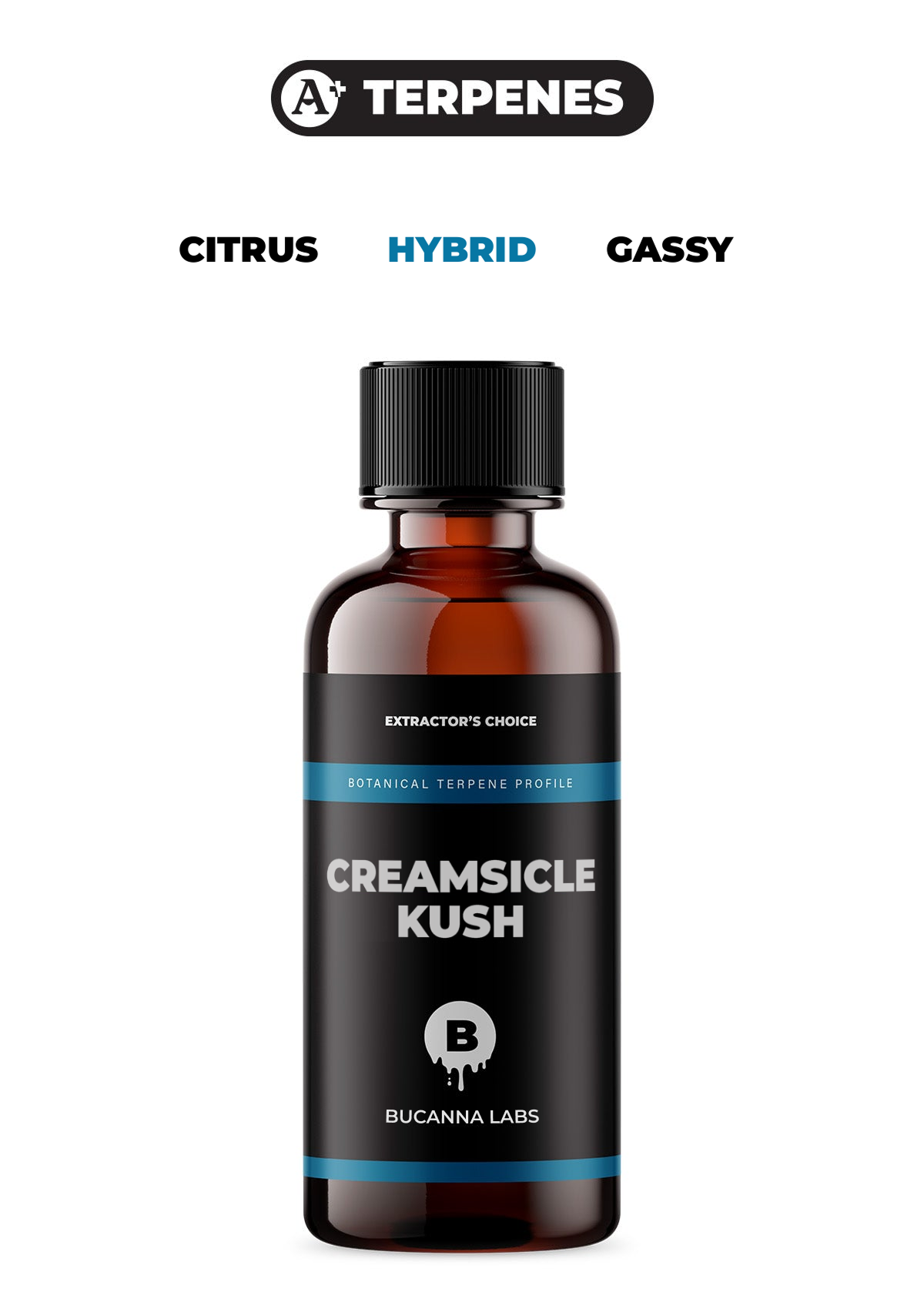 Creamsicle Kush - Botanical Terpene Profile from Bucanna Labs