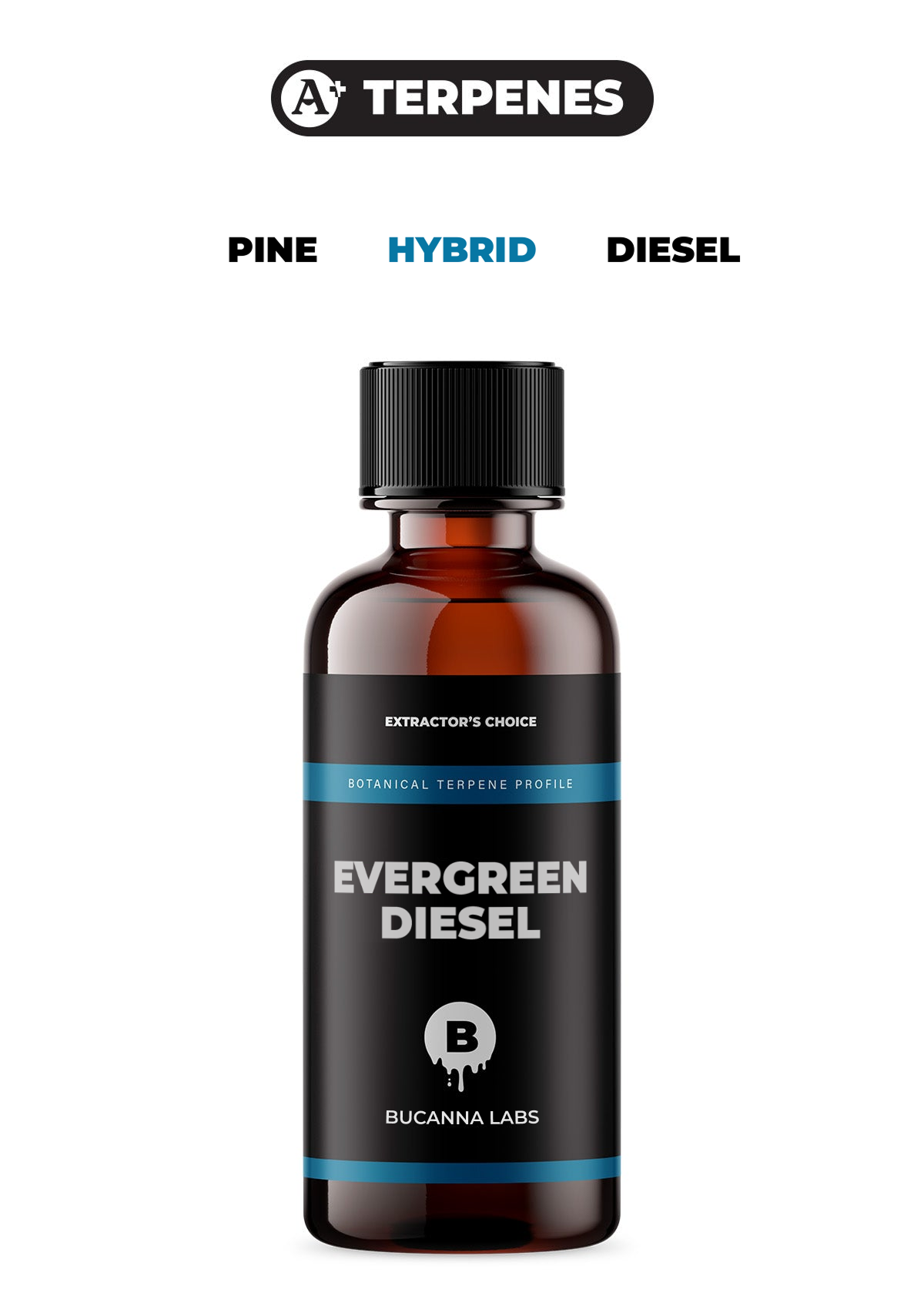 Evergreen Diesel - Botanical Terpene Profile from Bucanna Labs
