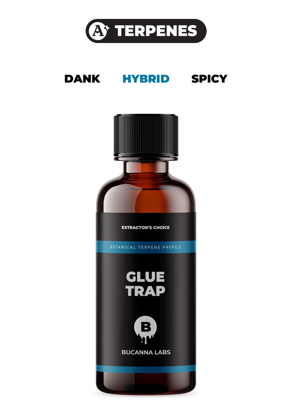Glue Trap - Botanical Terpene Profile from Bucanna Labs