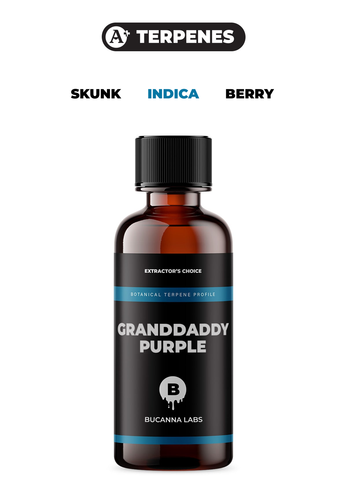Granddaddy Purple - Botanical Terpene Profile from Bucanna Labs