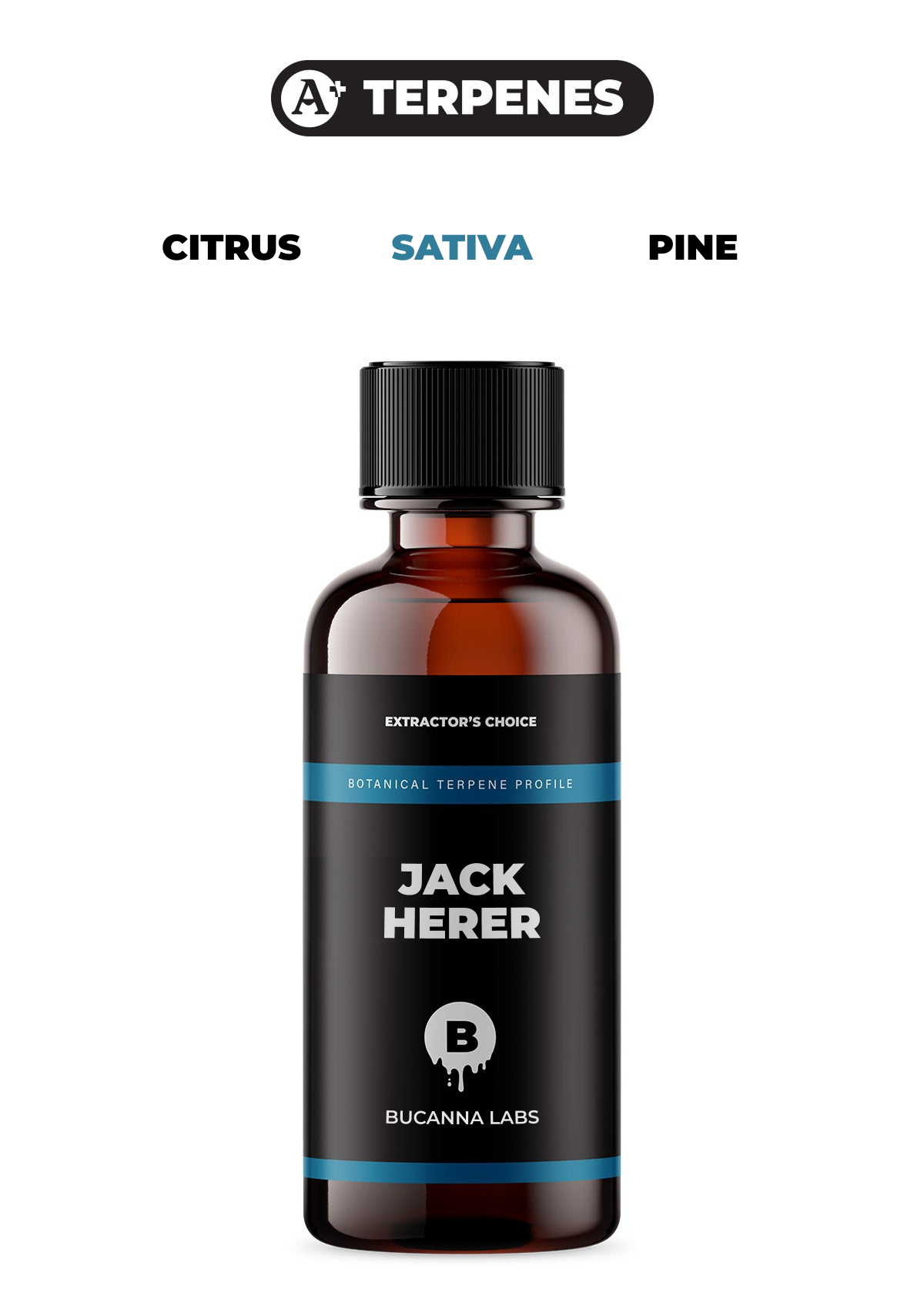 Jack Herer - Botanical Terpene Profile from Bucanna Labs