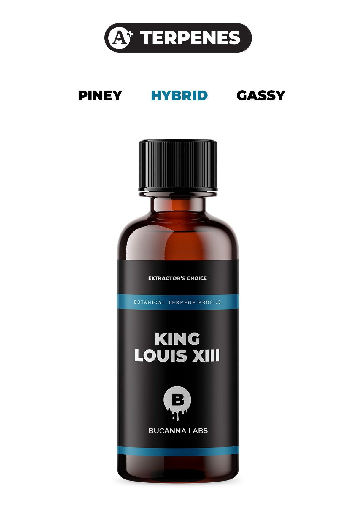 King Louis XIII - Botanical Terpene Profile from Bucanna Labs