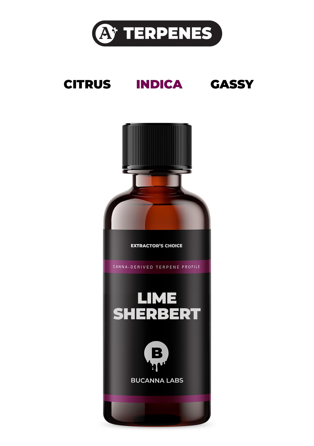 Lime Sherbert - Canna Derived Terpene Profile from Bucanna Labs