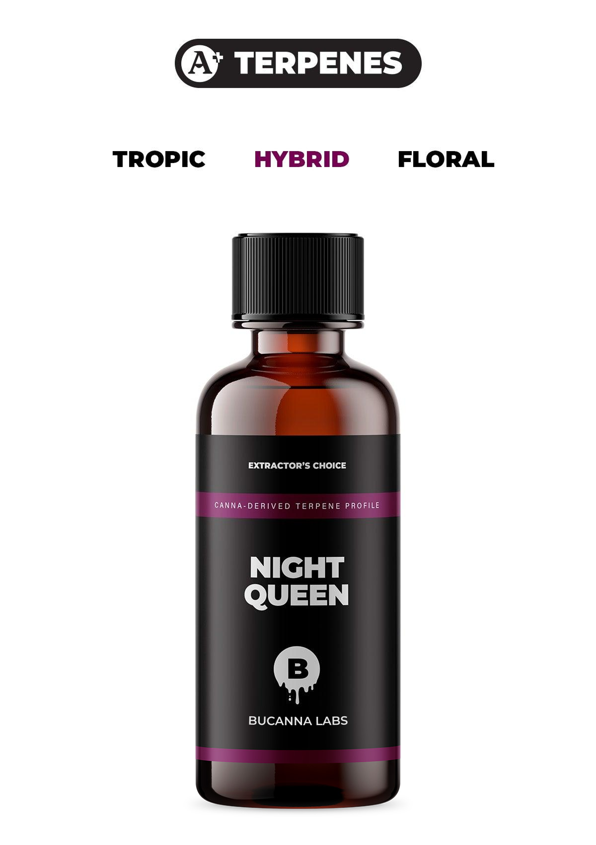 Night Queen - Cannabis Derived Terpene Profile from Bucanna Labs