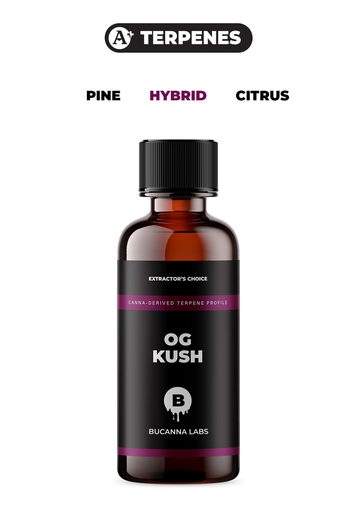 OG Kush - Canna Derived Terpene Profile from Bucanna Labs