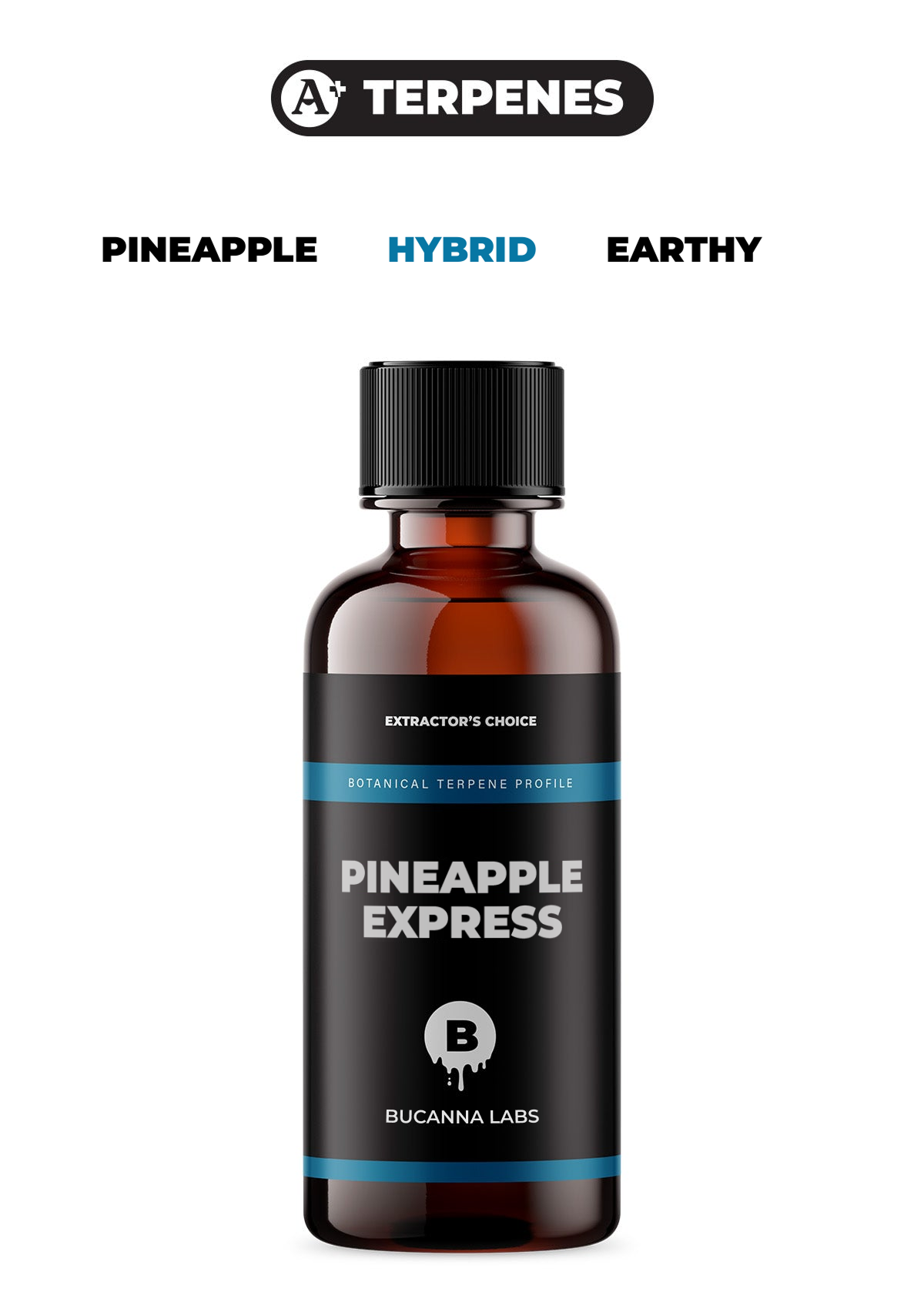Pineapple Express - Botanical Terpene Profile from Bucanna Labs