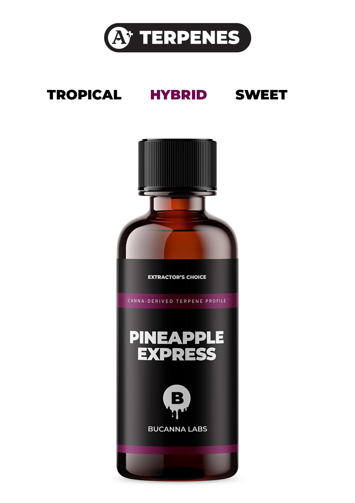 Pineapple Express - Cannabis Derived Terpene Profile from Bucanna Labs