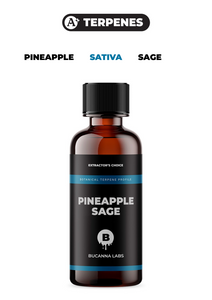 Pineapple Sage - Botanical Terpene Profile from Bucanna Labs