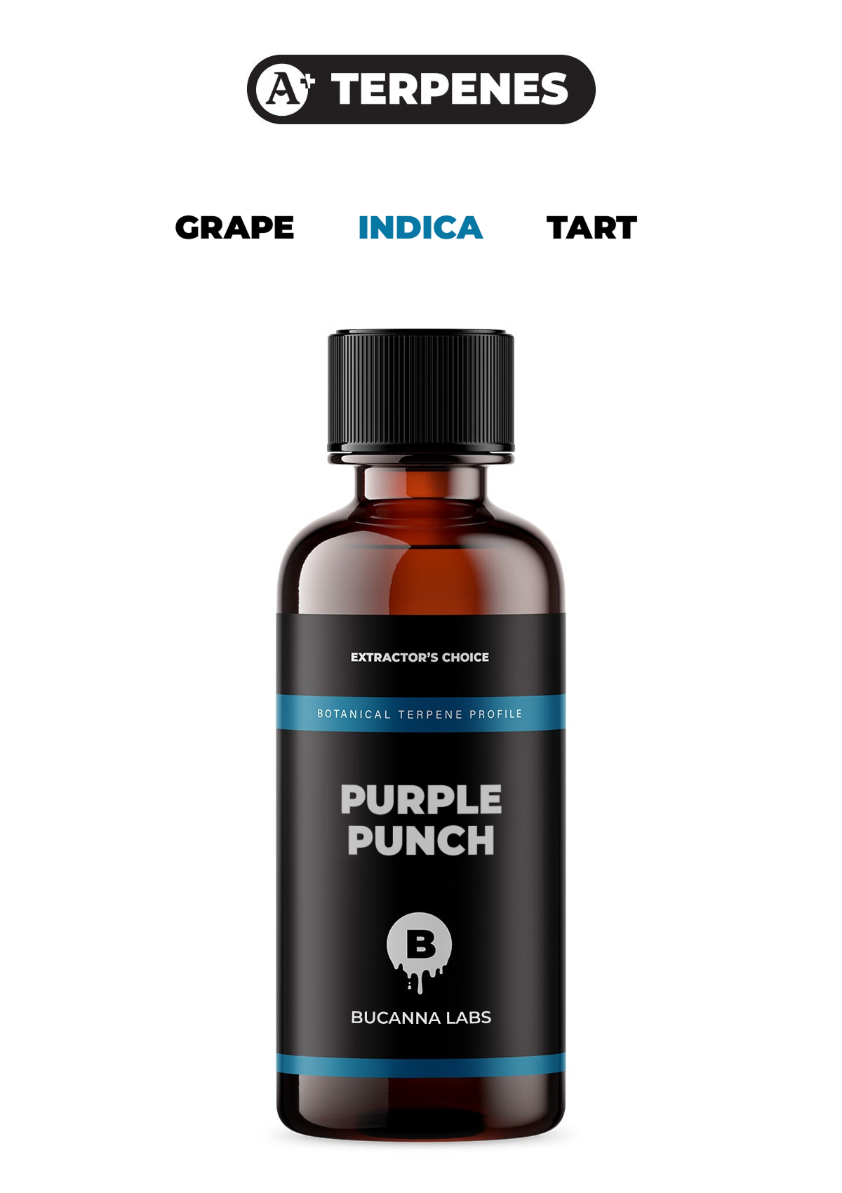 Purple Punch - Botanical Terpene Profile from Bucanna Labs