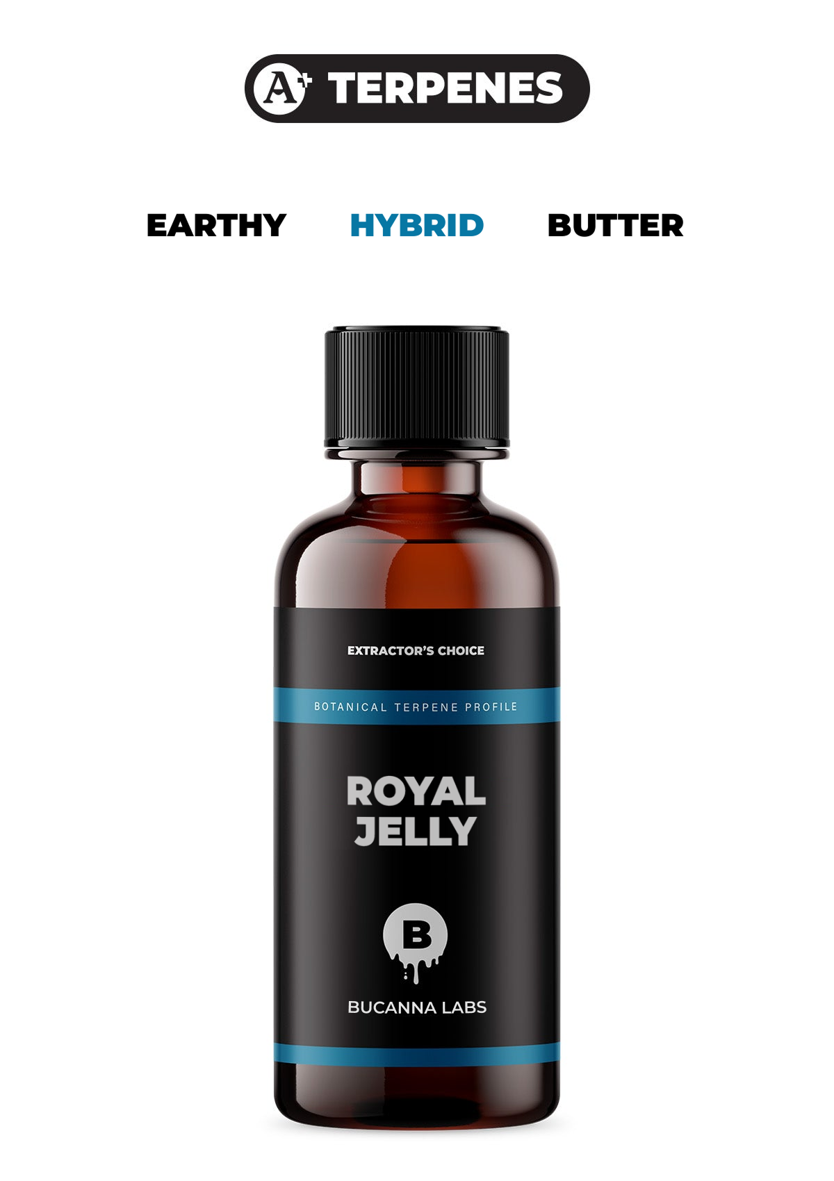 Royal Jelly - Botanical Terpene Profile from Bucanna Labs