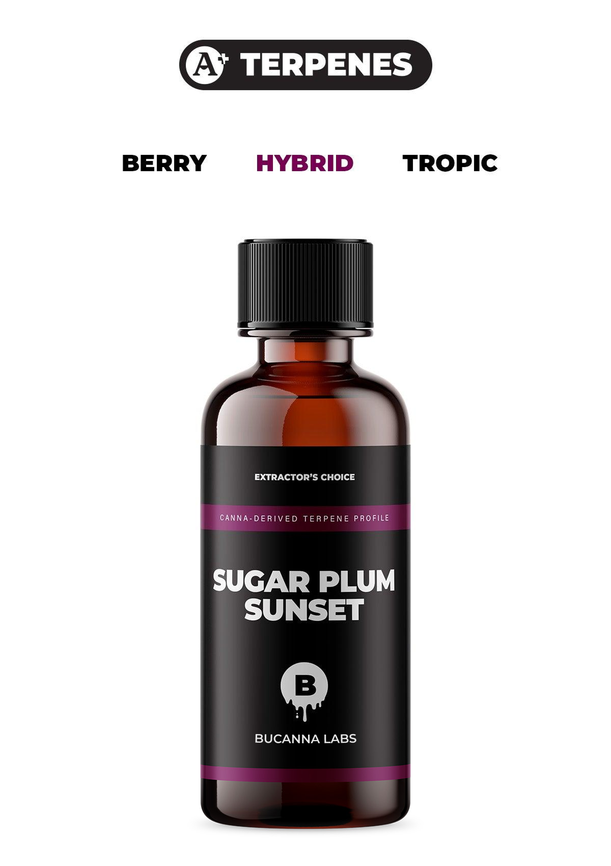 Sugar Plum Sunset - Terpene Profile from Bucanna Labs