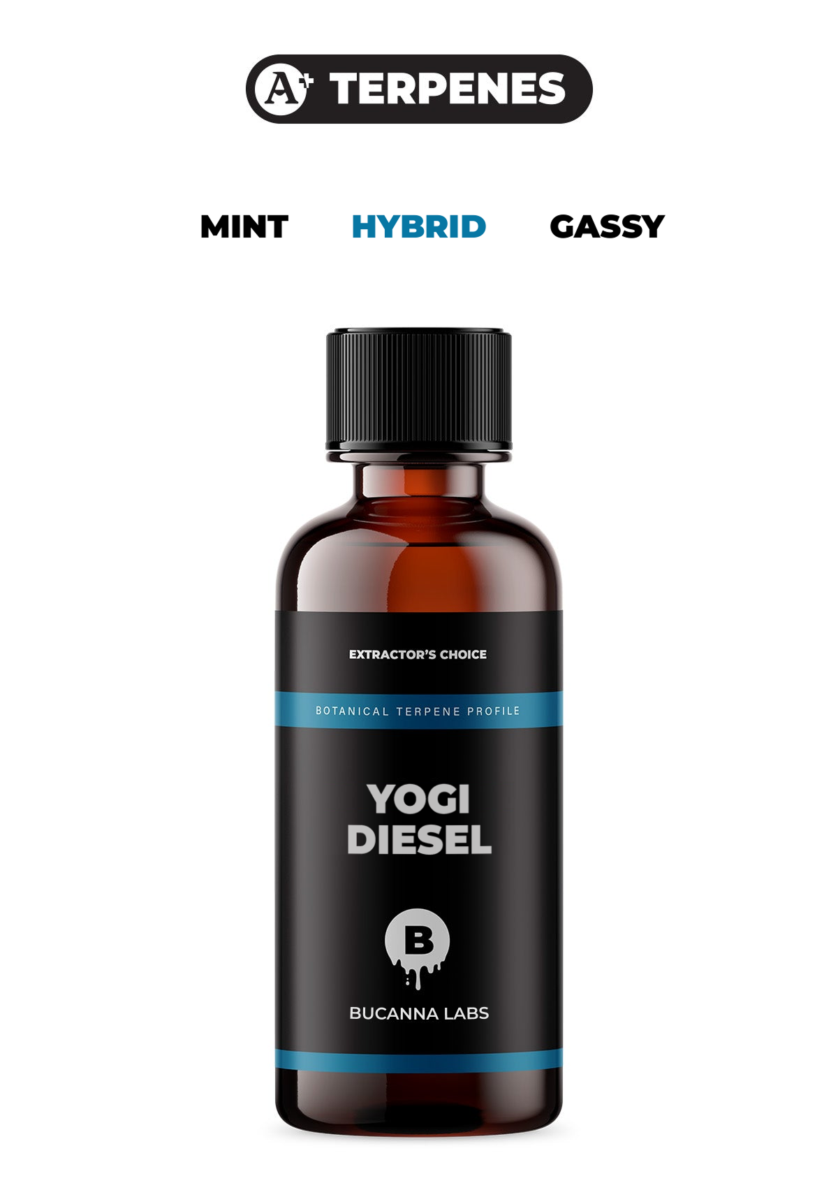 Yogi Diesel - Botanical Terpene Profile from Bucanna Labs
